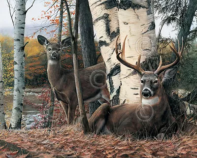 DEER ART PRINT - Autumn’s Majesty By Kevin Daniel Wildlife Buck Poster 8x10 • $16.95