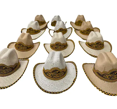 Set Of 12 Mexican Mini Palm Hats  Car  Decor  Sombrero  Mini Hat  New Mexico • $42