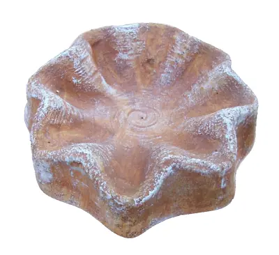 Plastic Shell Birdbath Mold Plaster Concrete Casting Feeder Mould 7.75” X 2.25”H • $42.95