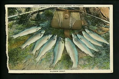 Fish Related Postcard Fishing Rainbow Trout Lake Arrowhead Woods California CA • $2.99