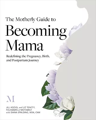 The Motherly Guide To Becoming Mama: Redefining The Pregnancy Birth And Postpa • $15