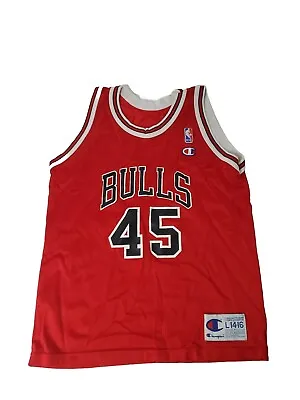 Vintage Champion Michael Jordan Chicago Bulls #45 Jersey Youth L 14-16 • $50