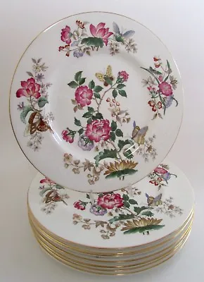 $449 • Buy WEDGWOOD CHARNWOOD Bone China Butterfly Floral Dinner Plates Set Of 8