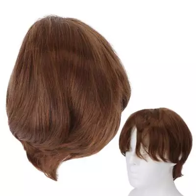 Natural-Looking Light Brown Men's Short Straight Wig For Costume Hairpiece • $12.92