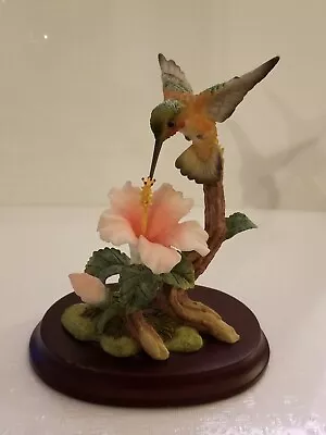 Maruri Rufous Hummingbird With Hibiscus Item# PH-2031 • $69.99