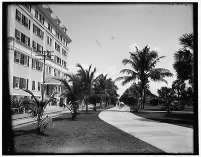 $5.83 • Buy Bicycle Ave, Palm Beach, Florida C1900 OLD PHOTO