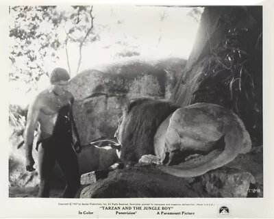 Tarzan And The Jungle Boy Mike Henry African Lion Original 8x10 Photo 1967 Snipe • $24.99