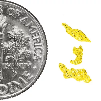 0.1775 Gram Alaska Natural Gold Nuggets - (#77443) - 3pcs Alaskan Gold Nuggets • $8.50