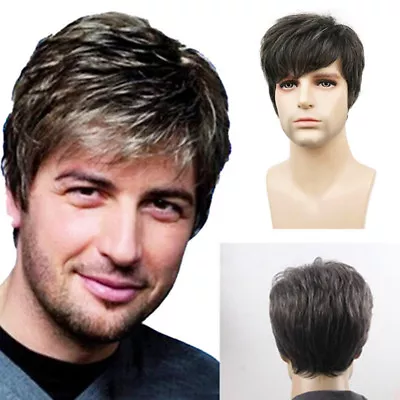 Men Wigs Natural Layered Short Hair Wigs Breathable Realistic Synthetic Male .c • $12.14