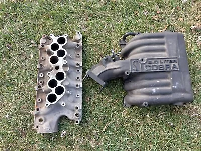 1994-1995 Ford Mustang 5.0L Cobra Intake Manifold GT40 302 SVT EFI  • $895