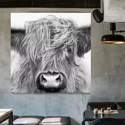 Highland Cow Grey Trending Printed Canvas Wall Art Picture Square Home Decor • £14.99