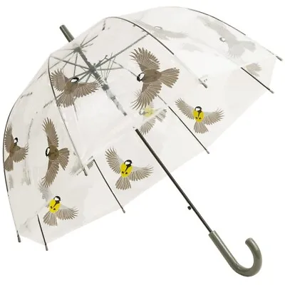 Fallen Fruits See-Through Umbrella - Great Tit • £11.99