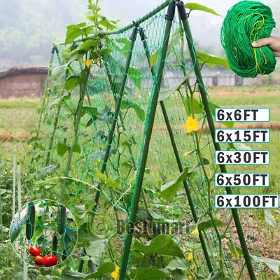 Garden Plant Climbing Net Trellis Netting Mesh Support Fruits Vine Veggie Bean • $16.65