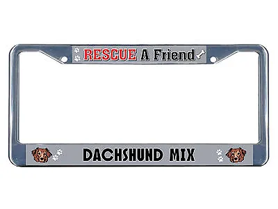 Dachshund Mix Dog Rescue A Friend Chrome Metal License Plate Frame Tag Border • $17.99