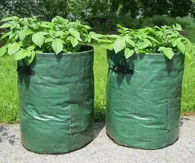 🔥2x LARGE POTATO GROW BAGS BAG TOMATO BAG PLANTER GROW YOUR OWN VEGETABLE SACK • £5.45