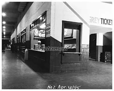 NHL 1955 Toronto Maple Leafs  Concession Stand Maple Leaf Gardens 8 X 10 Photo   • $5.39