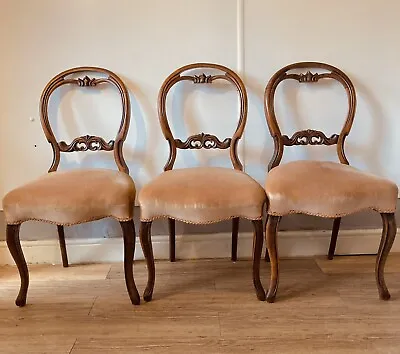 Victorian Ballon Back Rosewood Carved Serpentine Cabriole Legs Dining Chairs • £80