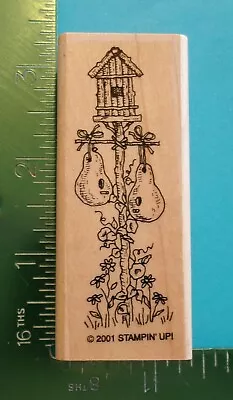 Stampin Up BIRDHOUSE GOURDS MORNING GLORY FLOWERS Rubber Stamp • $3.56