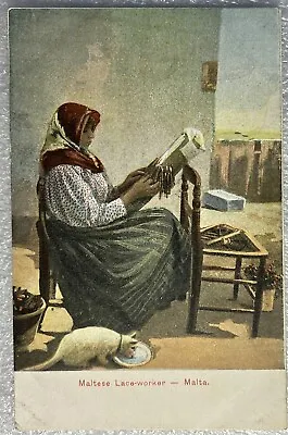 Maltese Lace Worker Malta Italy Mediterranean City Cat Drinking Postcard • $9.19