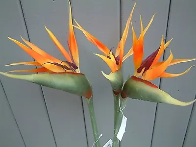 £13.99 • Buy 3 X Large Artificial Bird Of Paradise Flowers