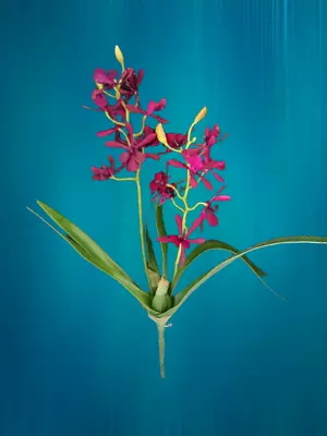 Artificial Mini Cattleya Orchid Stem BURGUNDY WINE • £15.91