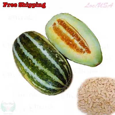 Fragrant Musk Melon Seeds Dưa Gang Thai Long Muskmelon | Non-GMO Organic • $3.49