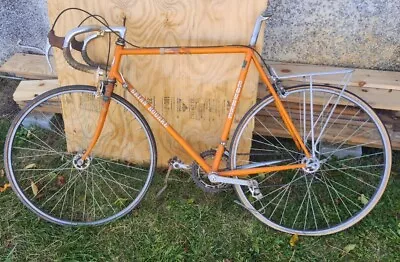 Vintage 1980 Brian Rourke  Steel Bicycle- Disassembled All Parts Included  • $340