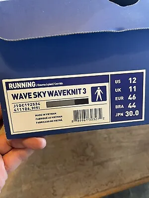 Mizuno Wave Sky Waveknit 3 • $59