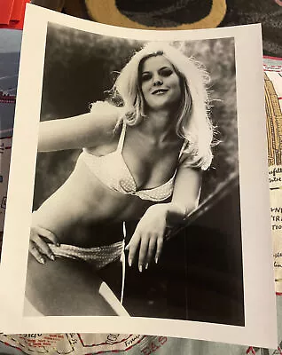 Meredith MacRae Irving Klaw Archives Movie Star News Vintage Photo 8x10 1980s #1 • $7.99