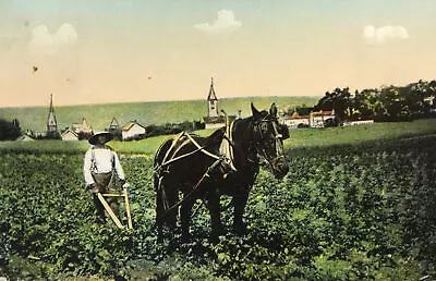 Antique Postcard Horse Drawn Farm Field Plow Man Farmer Agriculture 1914 #2 • $7.99