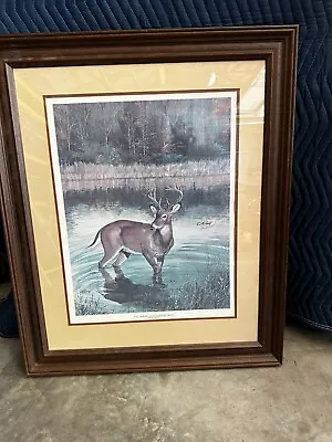  The American Whitetail Deer  By Ralph J McDonald; Numbered & Signed Print • $60