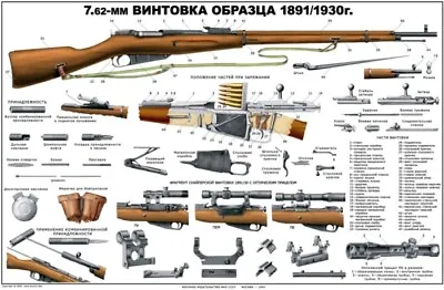 BIG Russian Color POSTER 1891/30 MOSIN NAGANT 7.62x54 Sniper Rifle Manual Soviet • $27.97