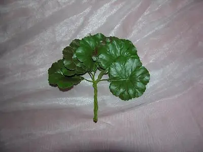 10 Vtg Unused 1950s Embossed Geranium Leaves On Wire Millinery Flower Crafts • $39