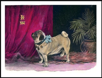 £5.99 • Buy Pug Little Dog And Butterflies Lovely  Vintage Style Dog Art Print Poster 