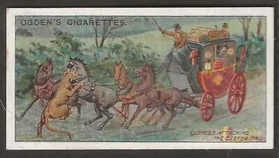 Ogdens-royal Mail 1909-#07- Mail Coach Attacked By A Lioness  • £4.99