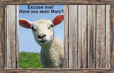 (Where Is Mary) Sign Plaque Little Lamb Animal Sheep Nursery Rhyme Decor • $14.99