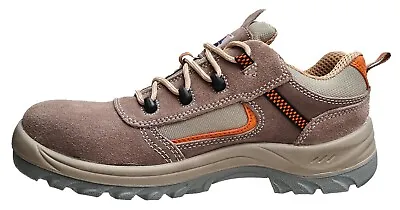 Size 11 Mens Safety Shoes Portwest Reno Low Boot S1p Fc52 Composite Toecap Eu 46 • £14.98