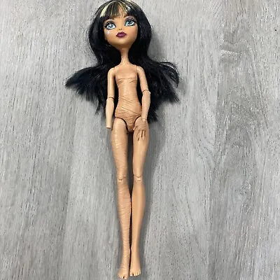 Rare Monster High Cleo De Nile Doll 2015 Mattel First Day Of School • $17.50