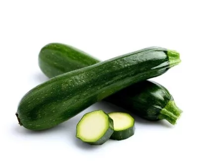 3 X Courgette ‘All Green Bush’ Plug Plant *Pre-Order For April Free Delivery* • £10.99