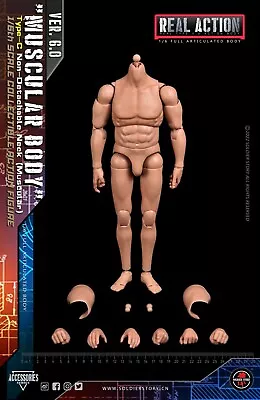 SSA-003(C): SOLDIER STORY  1/6 Scale Muscular Body With Non-detachable Neck • $36.99