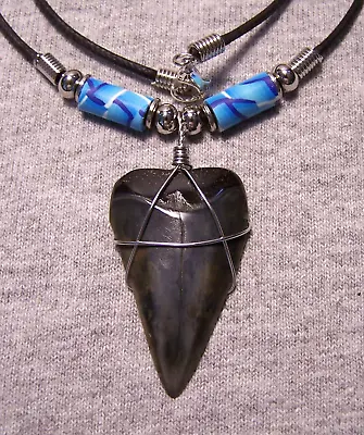 Shark Tooth Necklace 1 5/8  Mako Sharks Teeth Jaw Fossil Megalodon Dive Polished • $17