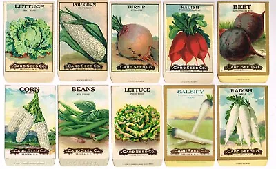 10 Vintage Seed Packet Lot 1908 Vegetable Garden General Store Fredonia New York • £27.51