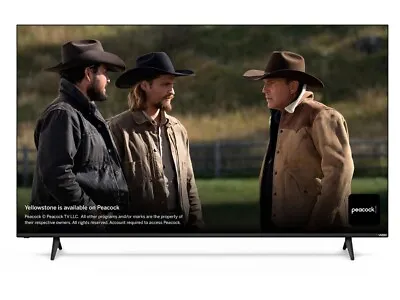 Brand New VIZIO M-SERIES QUANTUM 65IN CLASS (64.5IN DIAG.) 4K HDR SMART TV • $765