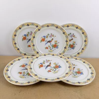 6 Royal Epiag Bird Salad Plates Czechoslovakia Vintage Porcelain • $49.99