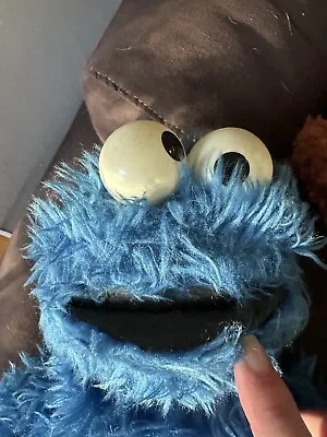 Vintage 1970s Cookie Monster Doll With Eyes That Rattle • $27.99