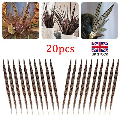 20Pcs Pheasant Tail Feathers 10-12 Inch Long Natural Ornamental Craft Party DIY • £11.99