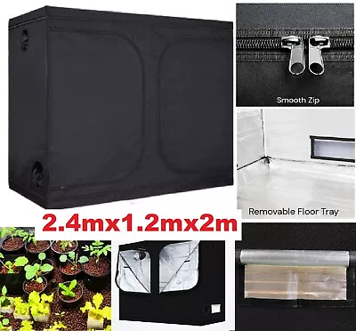 Grow Tent Kits 2.4m X 1.2m X 2m Hydroponics Indoor Grow System Indoor Plant Room • $259.99