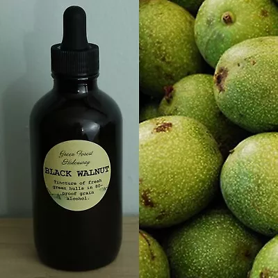 Black Walnut Extract/Tincture 4 Oz Organic Juglans Nigra Green Forest Hideaway • $23.99