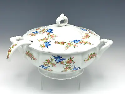 Rare Bluebird Pattern Tureen Lid & Ladle Haas Czjzek Porcelain Matthew 6:26 • $244.99