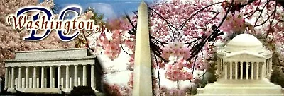 Washington D.C. Cherry Blossom Panoramic Fridge Magnet • $6.99